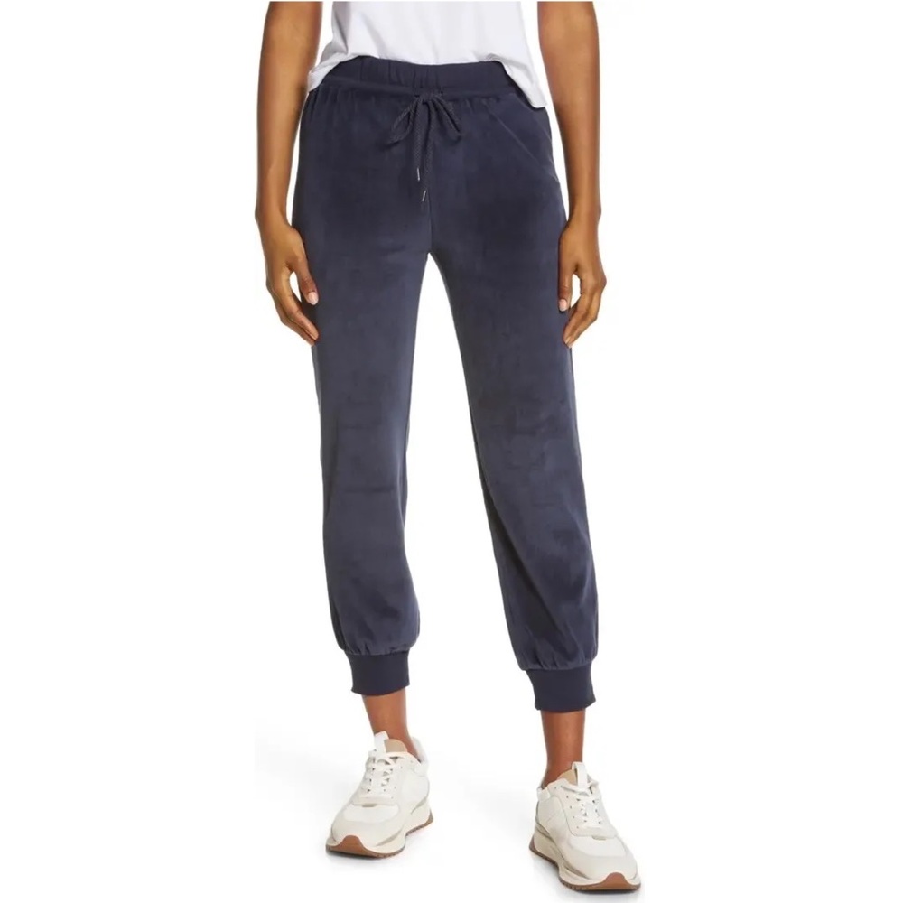 Madewell MWL Newark Sweatpants Velour Slim Joggers In Baltic Blue size XS